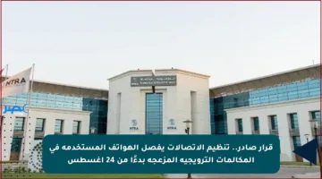 قرار صادر.. تنظيم الاتصالات يفصل الهواتف المستخدمة في المكالمات الترويجية المزعجة بدءًا من 24 أغسطس